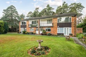 Photo 2- click for photo gallery